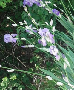 33cdbbc2-df50-4eb9-9353-18dabdea011d