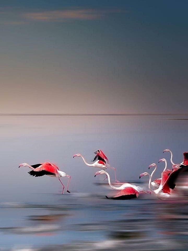 8189d3be-aee9-4774-bb70-6da2fef0f0a0