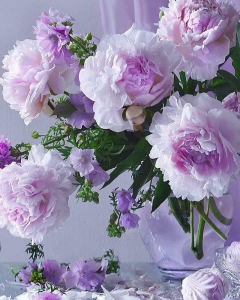 8ba9b0a7-e784-493c-a5aa-caf6796b4ec1