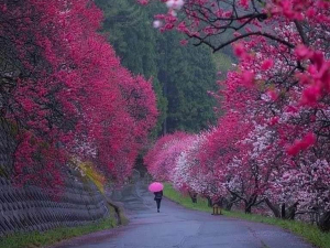 aa372378-f4f4-4016-bb67-a11aa14a2210