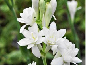 aaca2ac0-0f84-4021-a114-db6d3b63406b